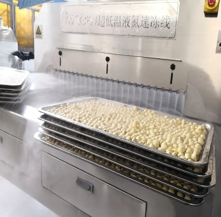 เครื่องแช่แข็งอุโมงค์ Cryogenic IQF สำหรับการแปรรูปอาหาร