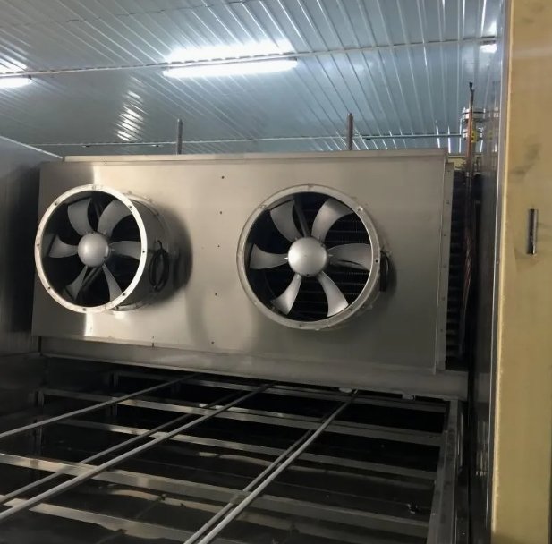 High-Efficiency Tunnel Freezer for Rapid Produce Freezing