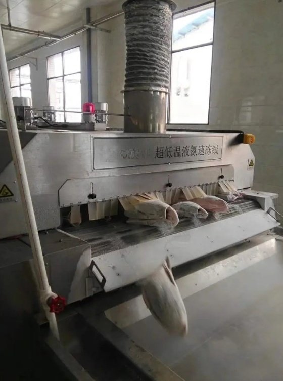 เครื่องแช่แข็งอุโมงค์ Cryogenic IQF สำหรับการแปรรูปอาหาร