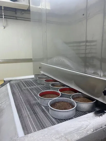 High-Efficiency Impact Tunnel Freezer for Rapid Freezing