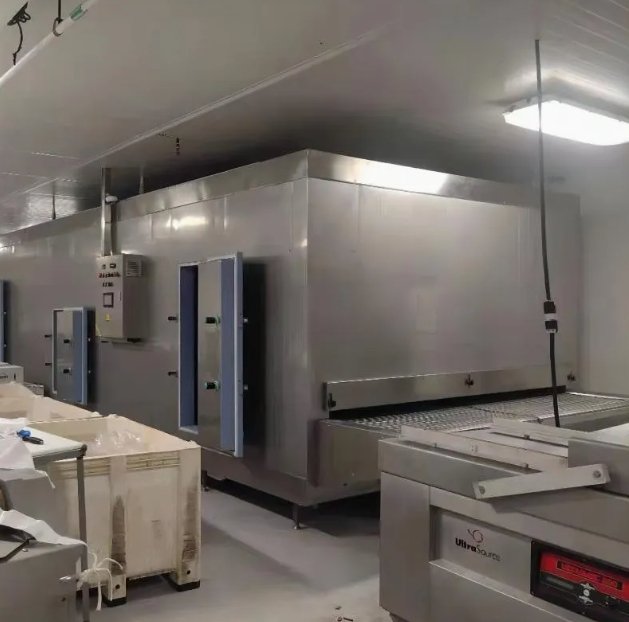 Advanced Tunnel Freezer for Rapid Food Freezing